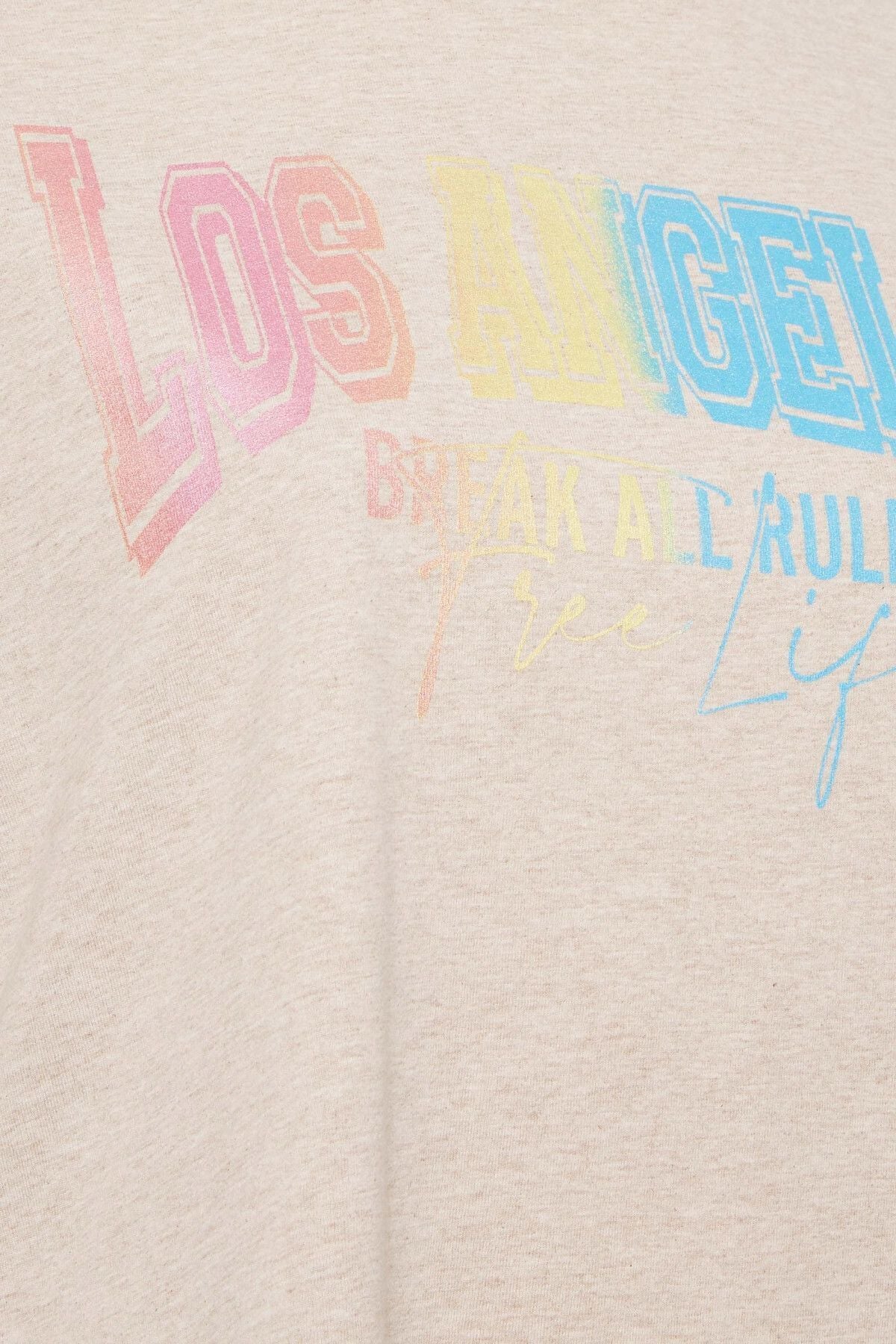 Büyük Beden Bisiklet Yaka Kısa Kollu Yırtmaç Detaylı Baskılı T-shirt 302202